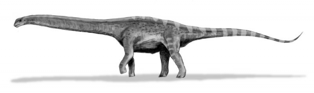 Größte aller zeiten dinosaurier der Größter Kombi