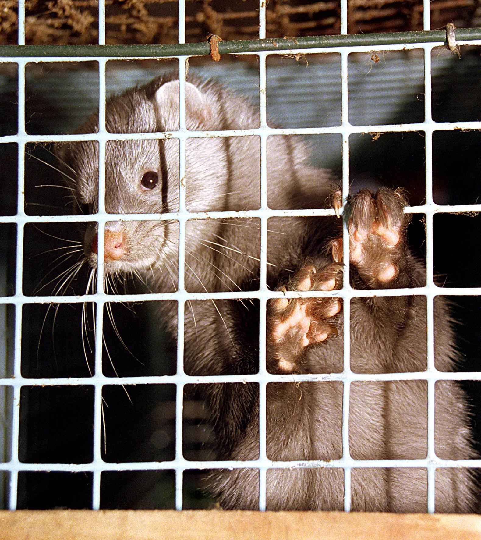 Foto: © Gerd Altmann / www.pixelio.de