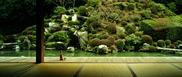 Fuhrparksoftware comm.fleet: Gezielte Kostenkontrolle für Flottenmanager 