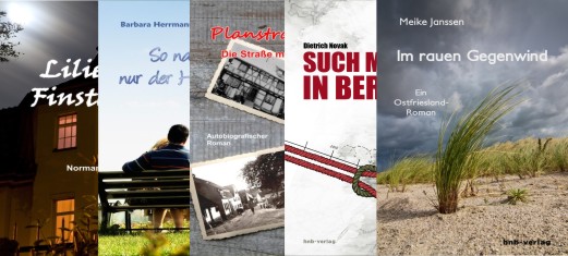 Logo SMEIL AWARD 2013